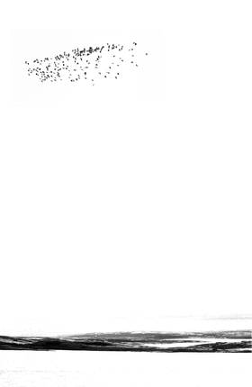 Read Black Road  2 Page 4 in English