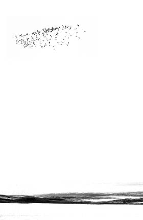Read Black Road  2 Page 10 in English