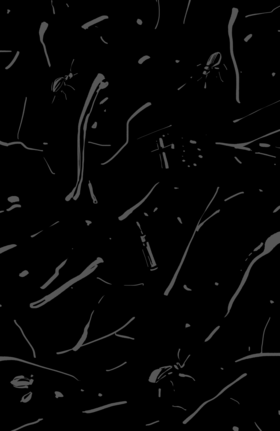 Read Bog Bodies  1 Page 2 in English