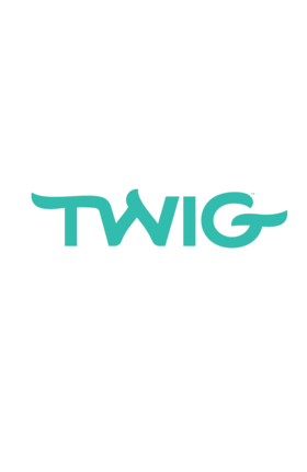 Read Twig  1 Page 3 in English