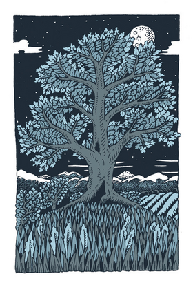 Read Internal Wilderness  1 Page 8 in English