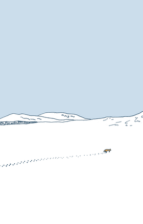 Read The Great North Wood  1 Page 8 in English