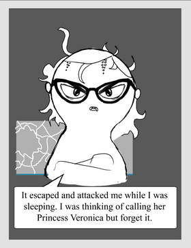 Read !CAUTION!  1 Page 8 in English