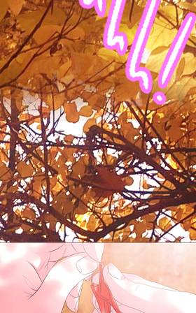 Read a wish that bloomed in fall  114 Page 5 in English