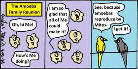 Read Eating Crow continues   5 Page 4 in English