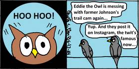 Read Eating Crow continues   5 Page 6 in English
