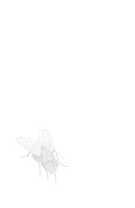 Read East Of West  8 Page 9 in English