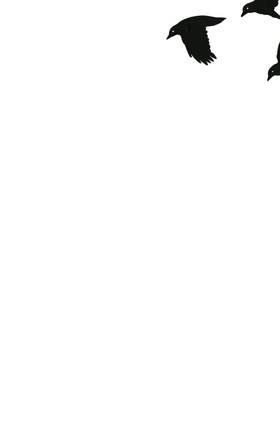 Read Hoax Hunters  1 Page 3 in English