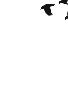 Read Hoax Hunters  1 Page 3 in English
