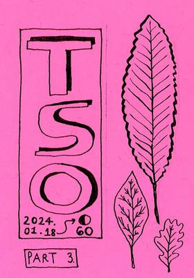 Read TSO  9 Page 9 in English