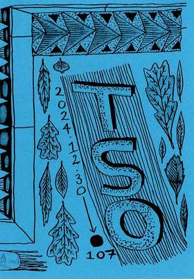 Read TSO  56 Page 1 in English
