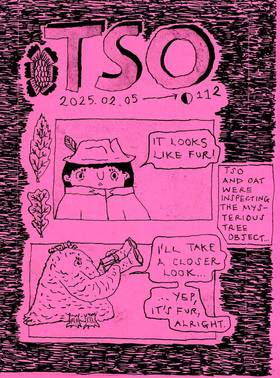 Read TSO  61 Page 1 in English