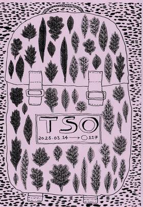 Read TSO  66 Page 1 in English