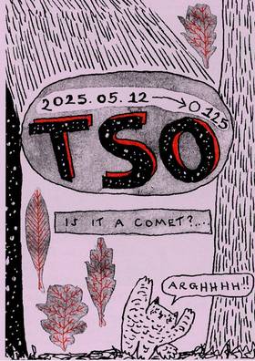 Read TSO  74 Page 1 in English