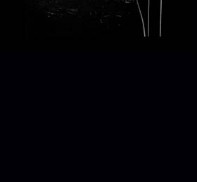 Read SPINES  5 Page 7 in English