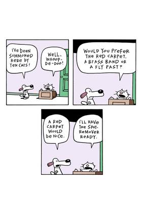 Read Ten Cats  3 Page 10 in English
