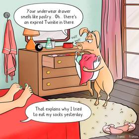 Read franci and francis  27 Page 1 in English