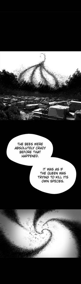 Read White Hole  2 Page 6 in English