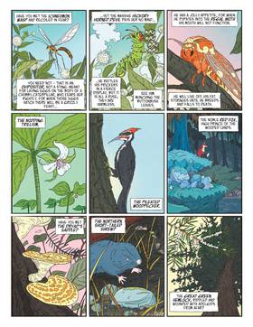 Read The Mushroom Knight  1 Page 9 in English