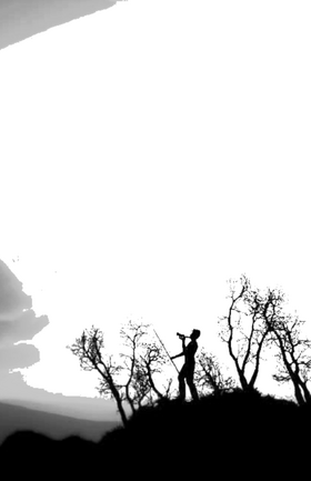 Read Austere Limited  7 Page 2 in English