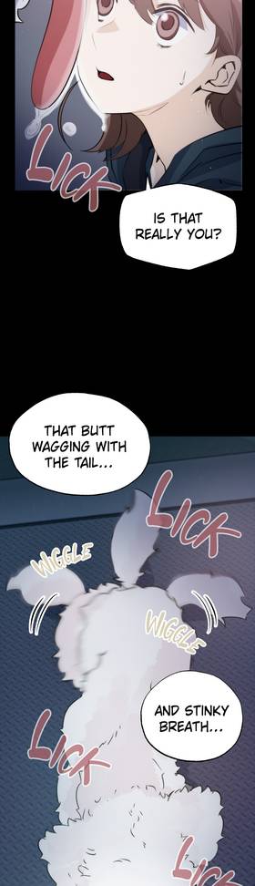 Read Starry Walk in the Dark  4 Page 2 in English