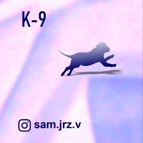 Read K-9  1 Page 1 in English