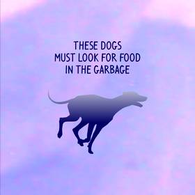 Read K-9  1 Page 5 in English