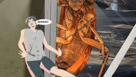 Read Retorded  1 Page 10 in English