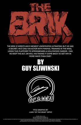 Read THE BRIK  1 Page 2 in English