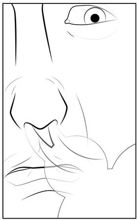 Read Zwang  18 Page 5 in English