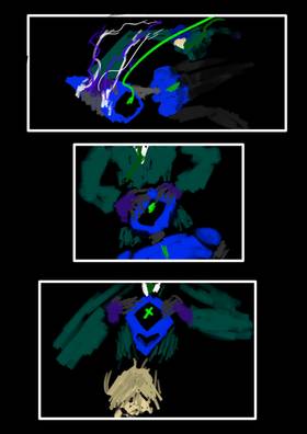 Read PaceTele: Four Seasons Single  18 Page 4 in English