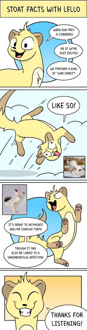War Dance Stoat Fact