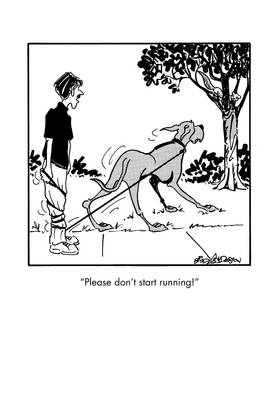 Read Marmaduke  1 Page 3 in English