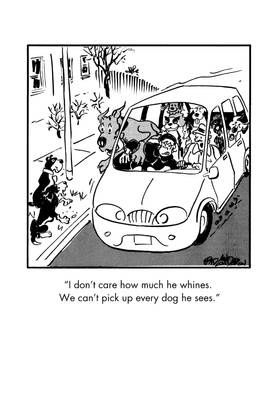 Read Marmaduke  3 Page 6 in English