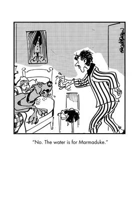 Read Marmaduke  3 Page 7 in English