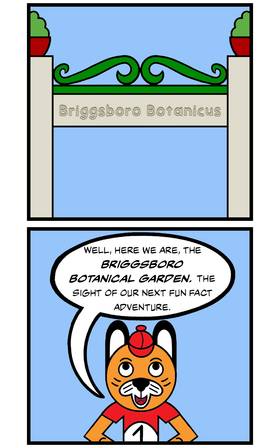 Read Fun Fact Adventures  211 Page 2 in English