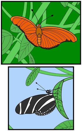 Read Fun Fact Adventures  216 Page 3 in English