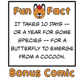 Read Fun Fact Adventures  225 Page 6 in English