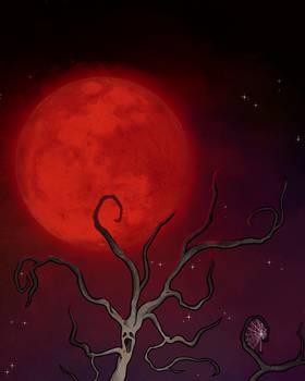 Read Fun Fact Adventures  186 Page 1 in English