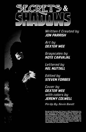 Read Secrets & Shadows  4 Page 2 in English