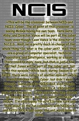 Read NCIS  13 Page 3 in English