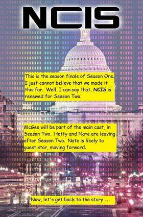 Read NCIS  15 Page 3 in English