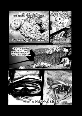Read Bleakville  1 Page 7 in English
