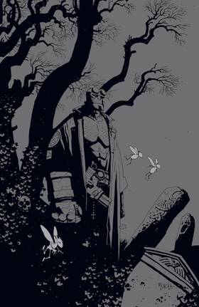 Read Hellboy  8 Page 4 in English