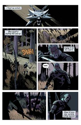 Read The Witcher  8 Page 10 in English