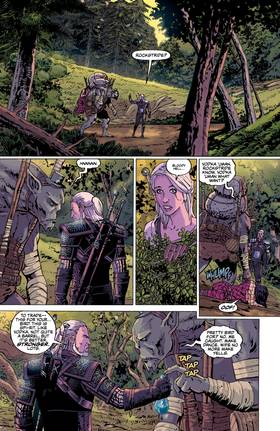 Read The Witcher  6 Page 10 in English