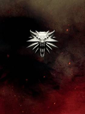 Read The Witcher  13 Page 3 in English