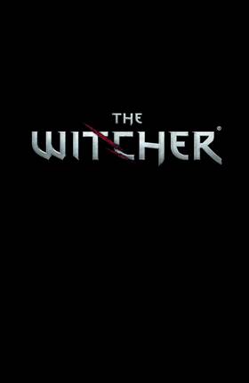 Read The Witcher  14 Page 3 in English