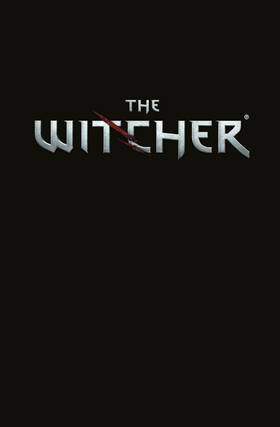 Read The Witcher  15 Page 3 in English