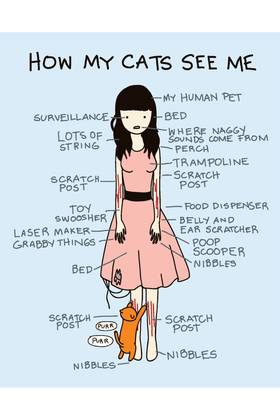 Read Cat vs Human  1 Page 6 in English